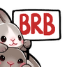 Rabbit_brb