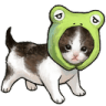 kittyfrog