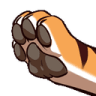 Paw