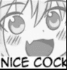 NiceCockFRI