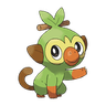 pokemon_Grookey