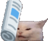 Slapcatto