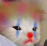 Clowncat