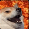 Firedog