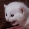 ahhhh