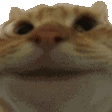 835738878593859614