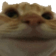 835738922226548766