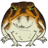 frogfrump