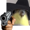 birb_gun2