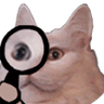 catspy