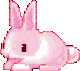 pinkbunny
