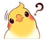 5986birbquestion
