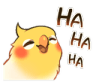 7909birblaugh