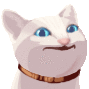 8214dgfcatpop