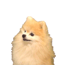 2390bark