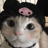 c_catkuromi