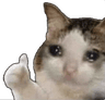 BT_okBoss