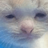emoji_205