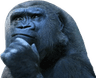apethink
