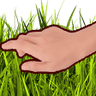 FTGPtouchGrass