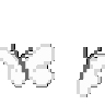 white_butterfly