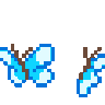 blue_butterfly