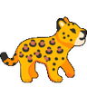 cheetah