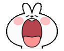 bunny_yawn