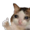 emoji_119