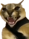 floppapog
