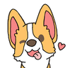 5565_cute_corgi