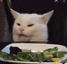 madsaladcat