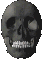 droidskull