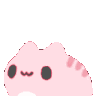 pinkvibe