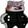 Swagdoge