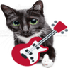 2710guitarcat