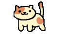 a_cat