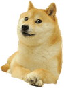 DogeMemePNGFreeDownload