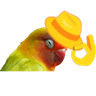 birbwithHat