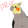 pro_birb