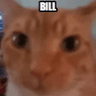 bill