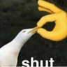 Shut