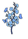 9815bluesakura