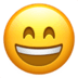 grinningfacewithsmilingeyes_1f60