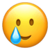 smilingfacewithtear_1f972