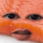 Zsmirk_salmon