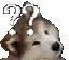 pup_wot