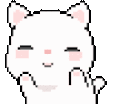 catcute