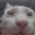 losing_it