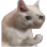 sadcatfelx